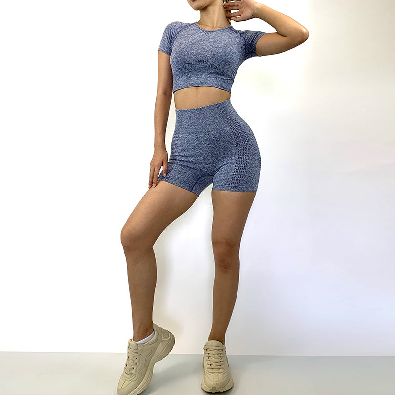Seamless High Waisted Shorts Yoga Set