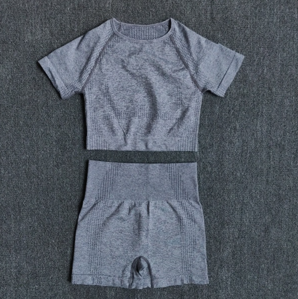 Seamless High Waisted Shorts Yoga Set